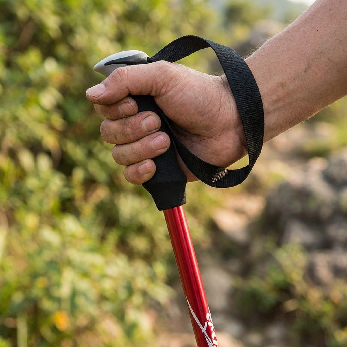 Adjustable Trekking Poles - Foldable Telescopic Pole