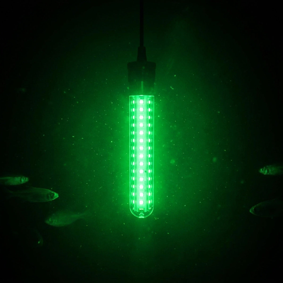 Underwater Night Fishing Light – Green LED Fish Attracting Light, 12 V Battery Clips & USB Lead (6.5 W)
