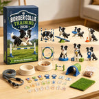 Border Collie Advent Calendar made of Acrylic