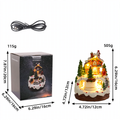 Illuminated music house decor with night light function