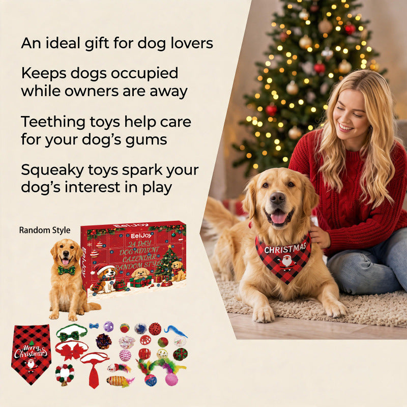 Advent calendar for dogs