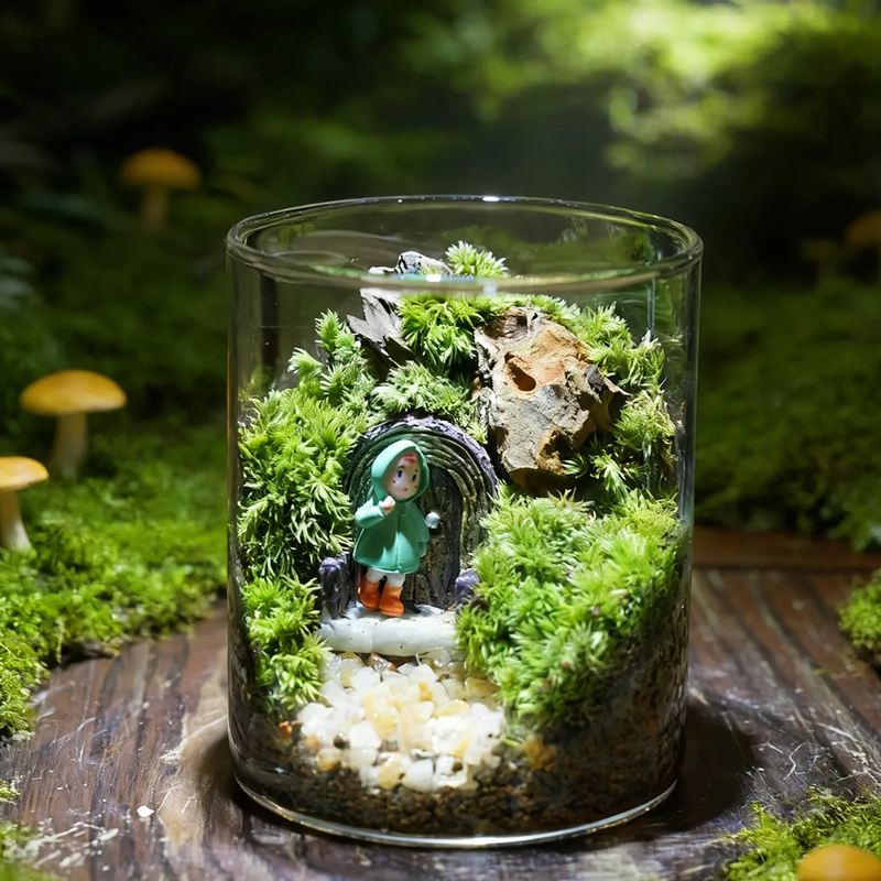 Miniature garden in glass, handmade