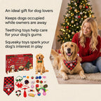 Advent calendar for dogs