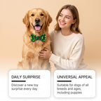 Advent calendar for dogs
