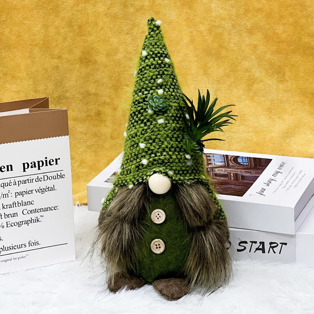 Christmas gnomes with succulent design