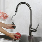 AquaStream Luxe – Adjustable Kitchen Faucet with Hand Shower