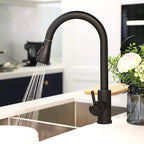 Modern Single-Handle Faucet with Pull-Out Spray