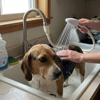 Kitchen Bathroom Faucet Shower Head Spray with extension cord