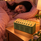 Nordic Wireless Natural Scene Speaker