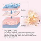 Eye Cream Stick – Anti-Wrinkle, Firming & Dark Circle Reduction